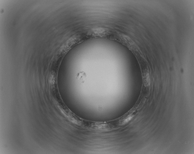 X0000070400472200606231807