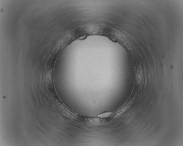 X0000070400473200606231807