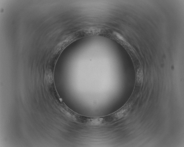 X0000070400474200606231807