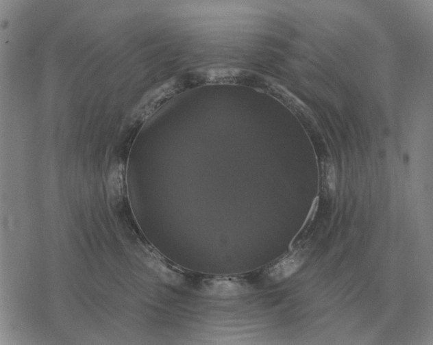 X0000070400475200606231807