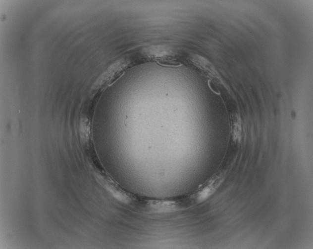 X0000070400476200606231807