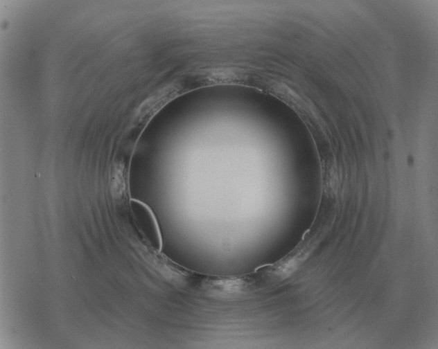 X0000070400478200606231807