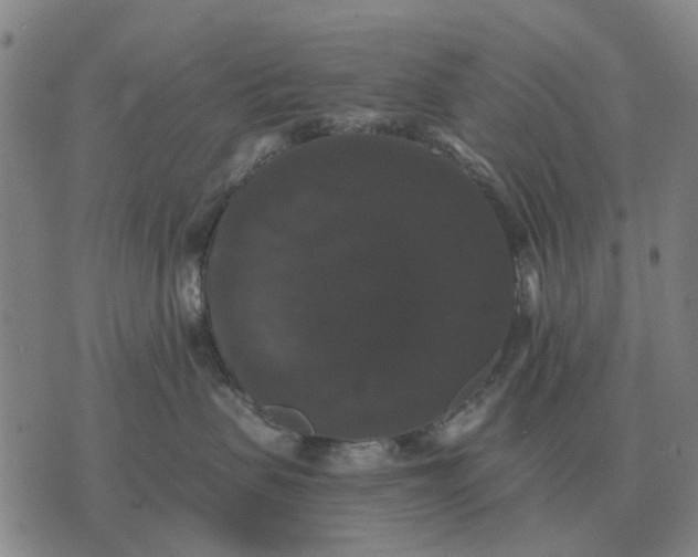 X0000070400479200606231807