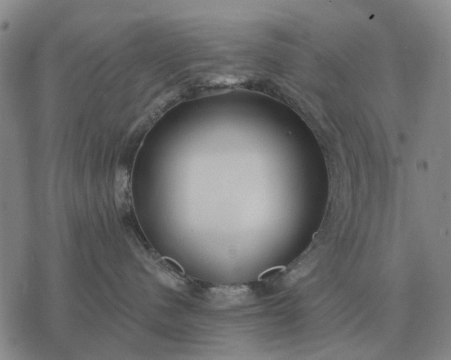 X0000070400480200606231807