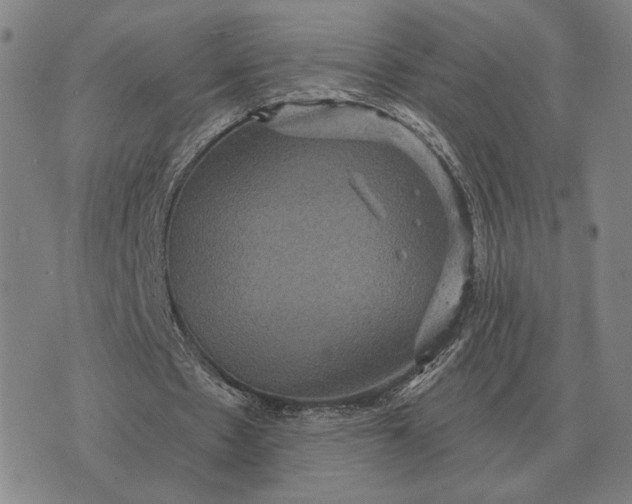 X0000070400481200606231806