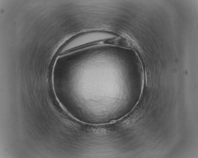 X0000070400483200606231806