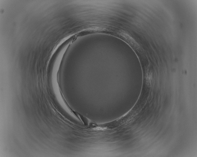 X0000070400484200606231806