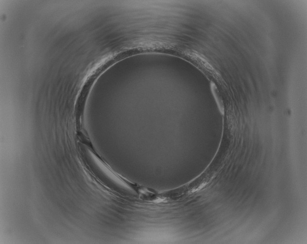 X0000070400488200606231806