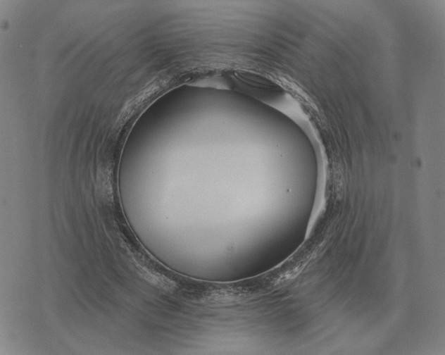 X0000070400489200606231806