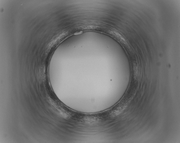 X0000070400490200606231806