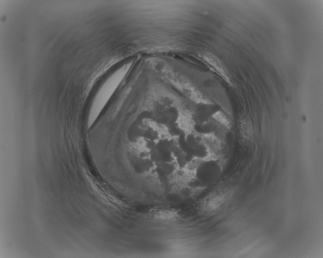 X0000070400491200606231806