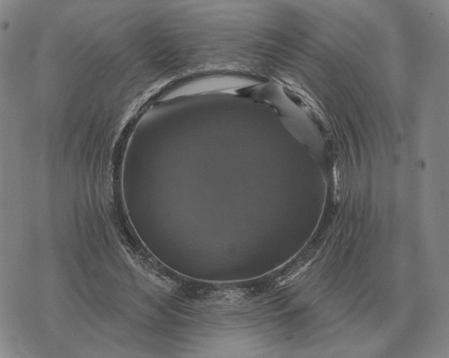 X0000070400492200606231806