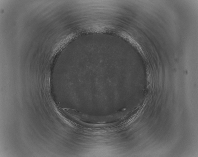 X0000070400493200606231806