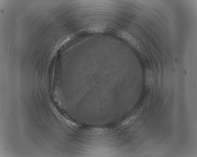 X0000070400494200606231806