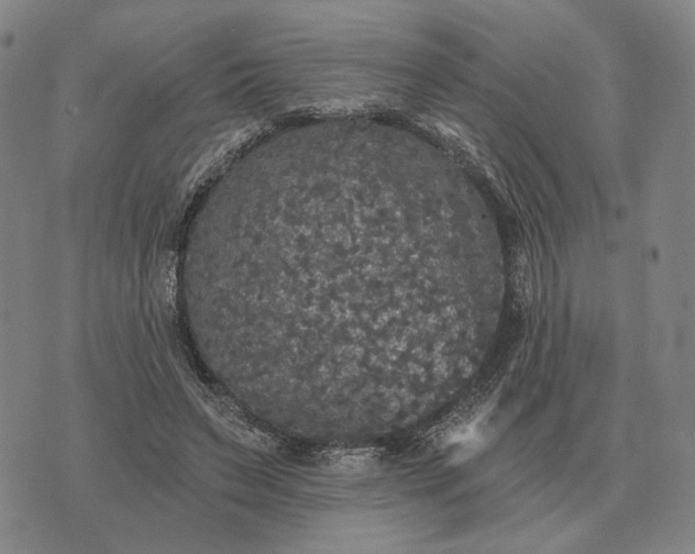 X0000070400495200606231806