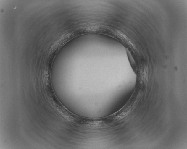 X0000070400497200606231806