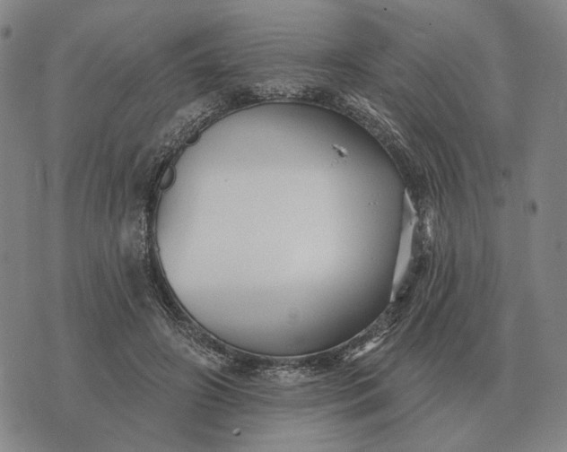 X0000070400498200606231806