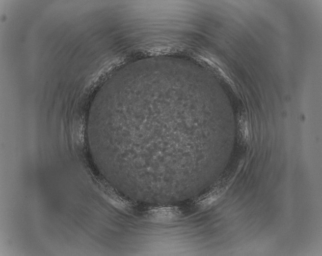 X0000070400499200606231806