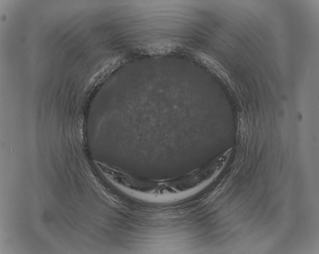 X0000070400501200606231806