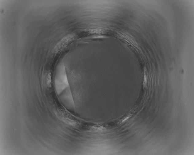 X0000070400502200606231806