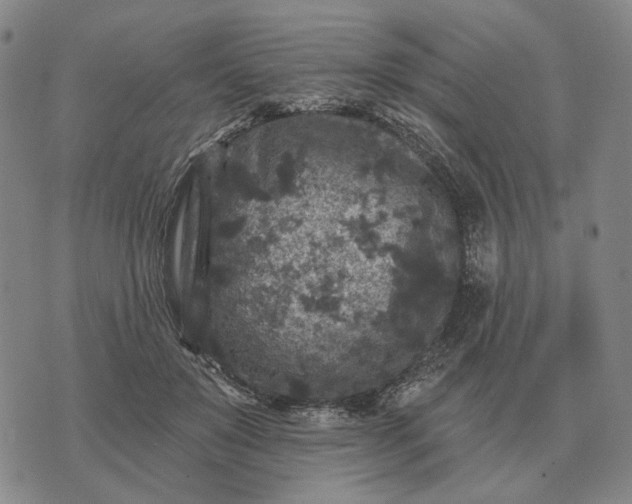 X0000070400503200606231806