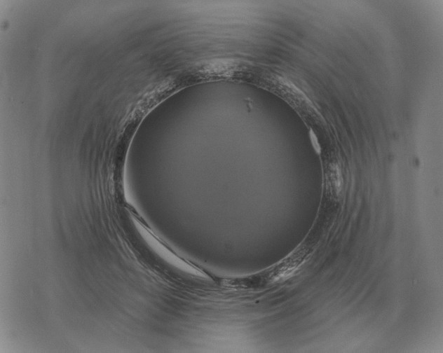 X0000070400504200606231806