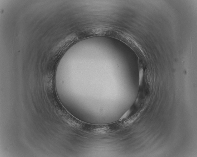 X0000070400505200606231806