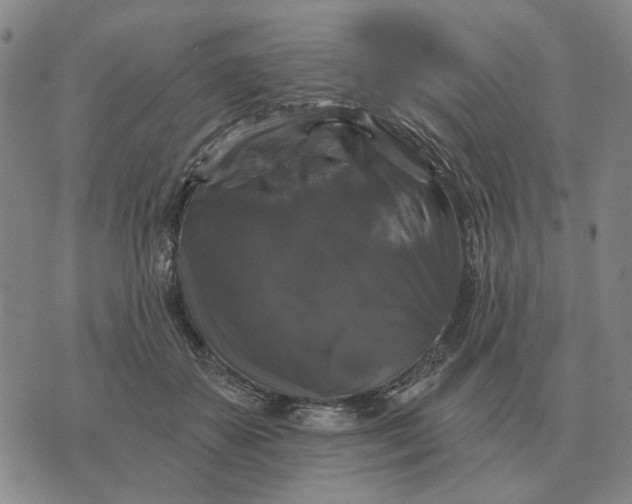 X0000070400507200606231806