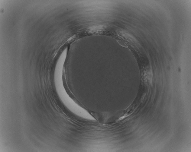 X0000070400508200606231806