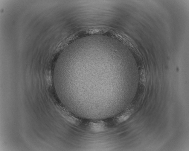 X0000070400510200606231806