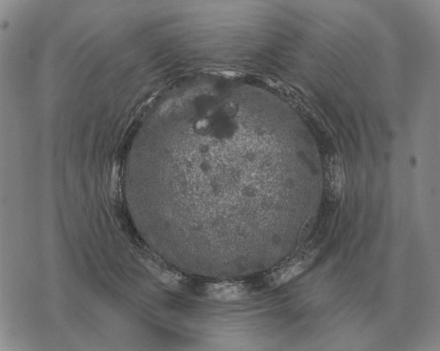 X0000070400511200606231806