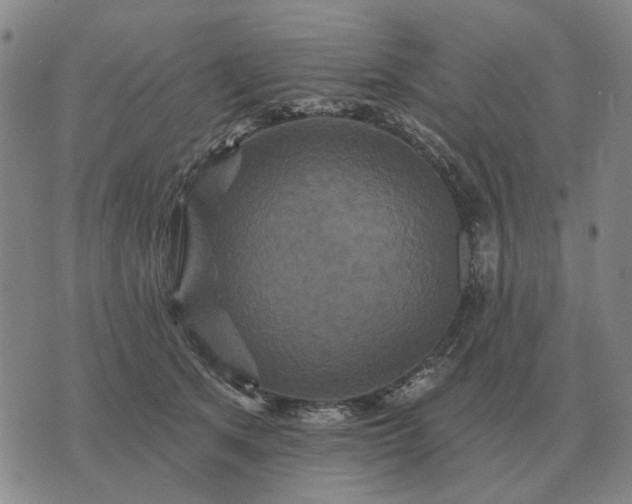 X0000070400513200606231806