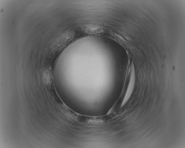 X0000070400515200606231806