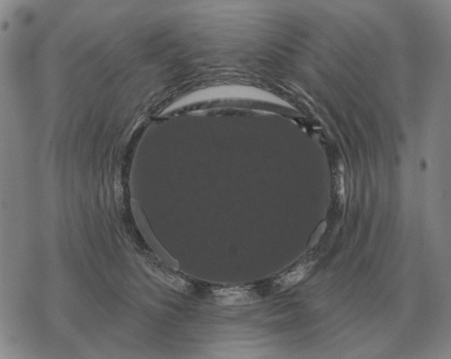 X0000070400516200606231806