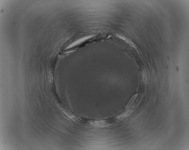 X0000070400517200606231806