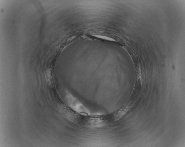 X0000070400519200606231806