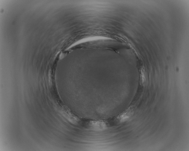 X0000070400520200606231806