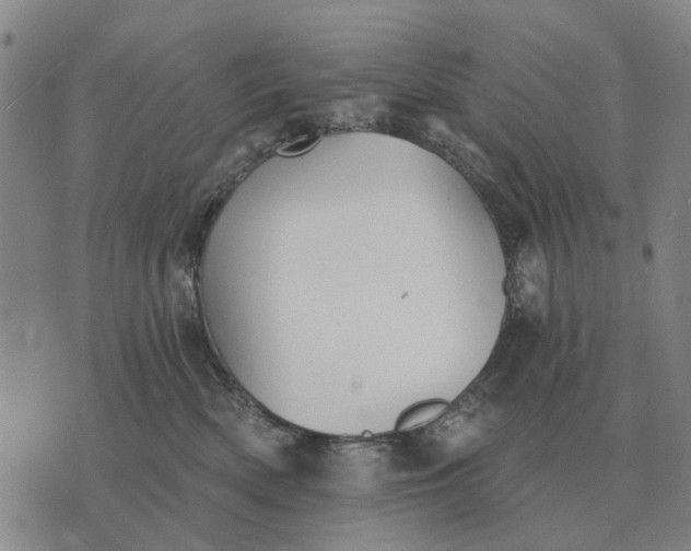 X0000070400522200606231806