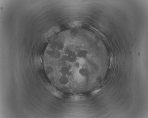 X0000070400523200606231805