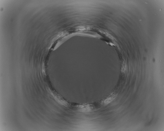 X0000070400524200606231805