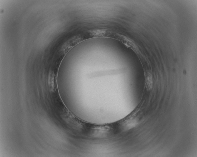 X0000070400525200606231805