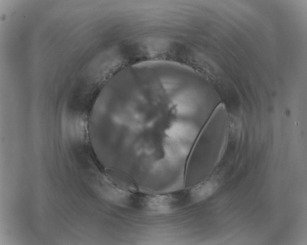 X0000070400527200606231805