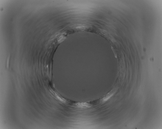 X0000070400528200606231805