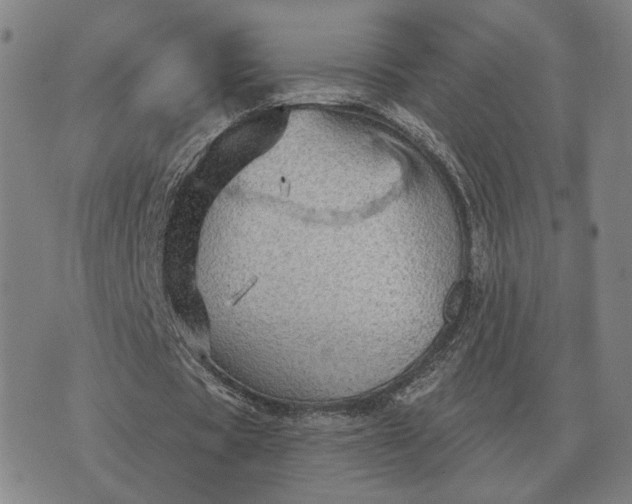 X0000070400529200606231805