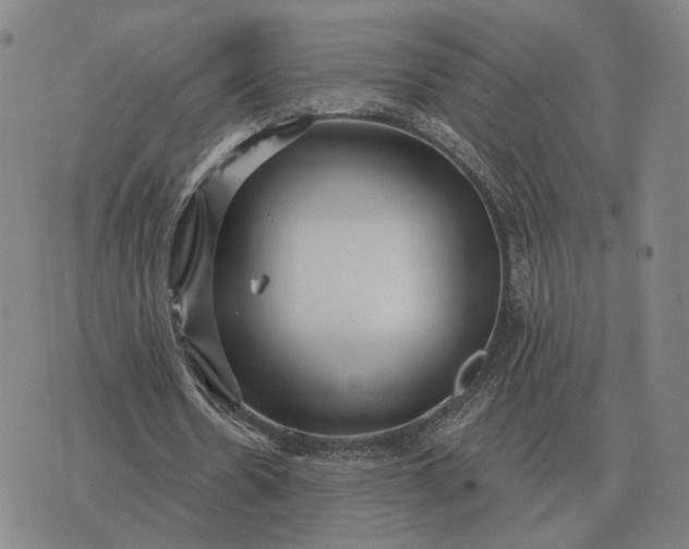 X0000070400530200606231805