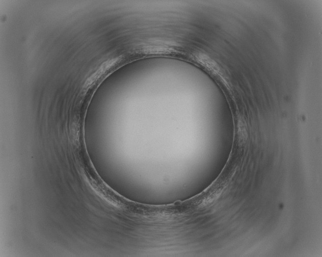 X0000070400533200606231805