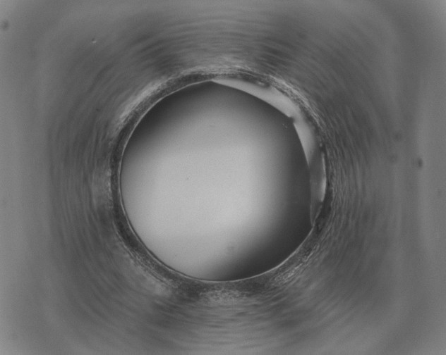 X0000070400535200606231805