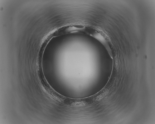 X0000070400536200606231805