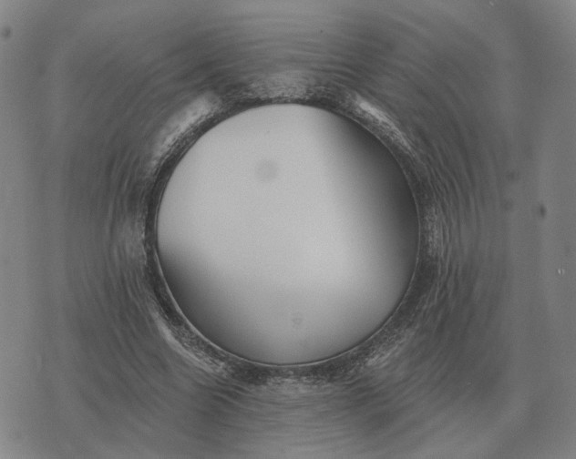 X0000070400538200606231805