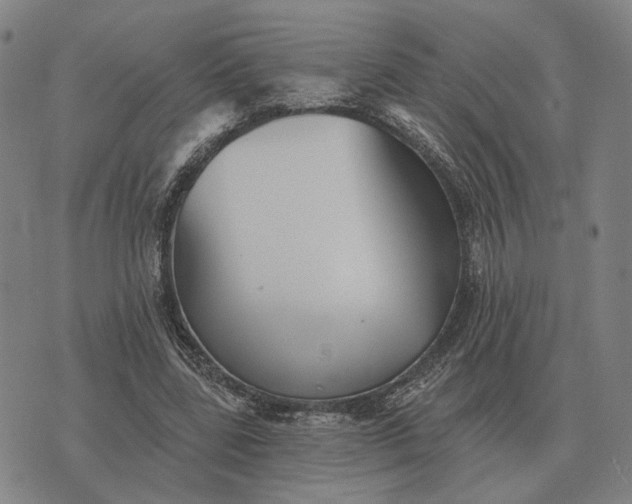 X0000070400539200606231805